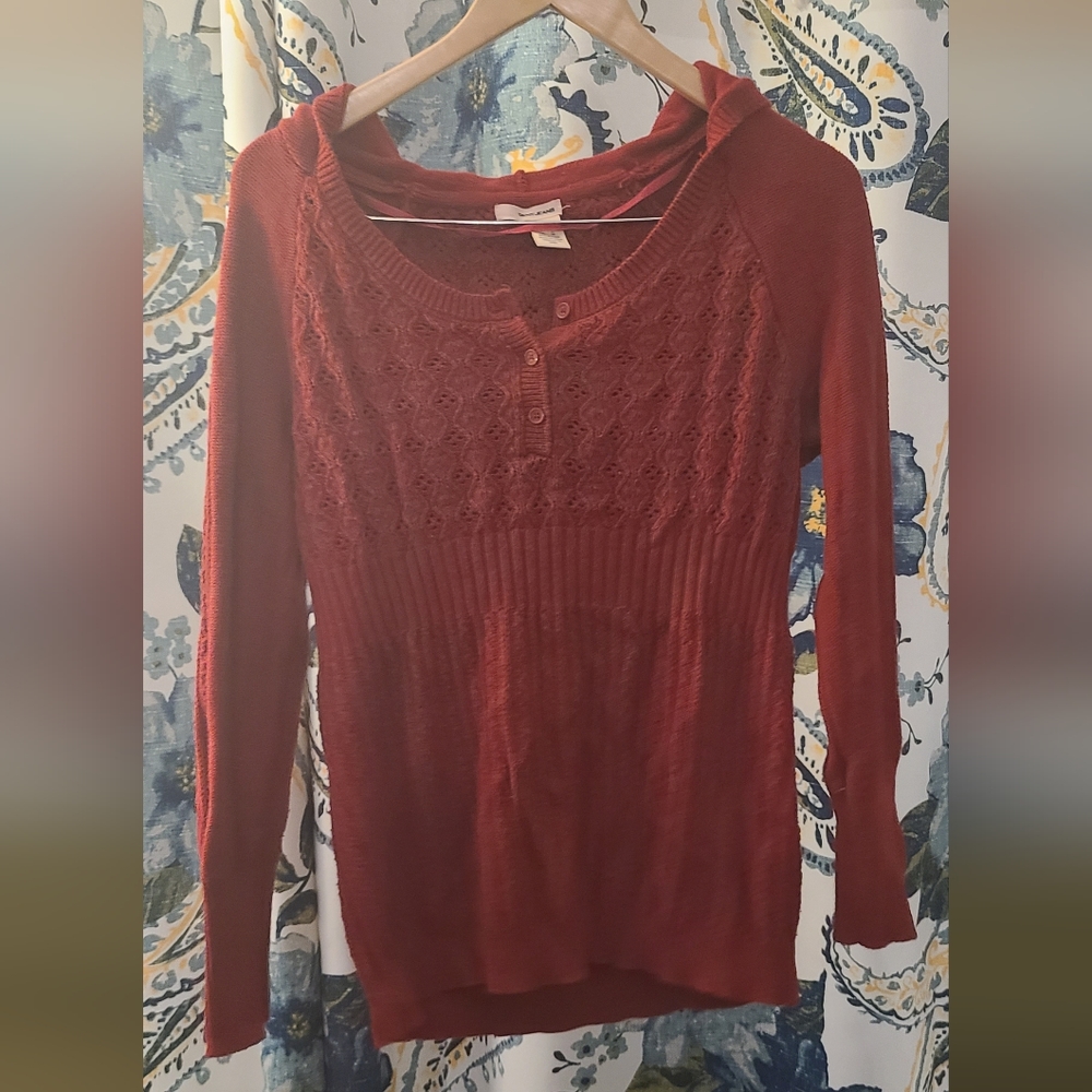 DKNY hooded sweater sz L